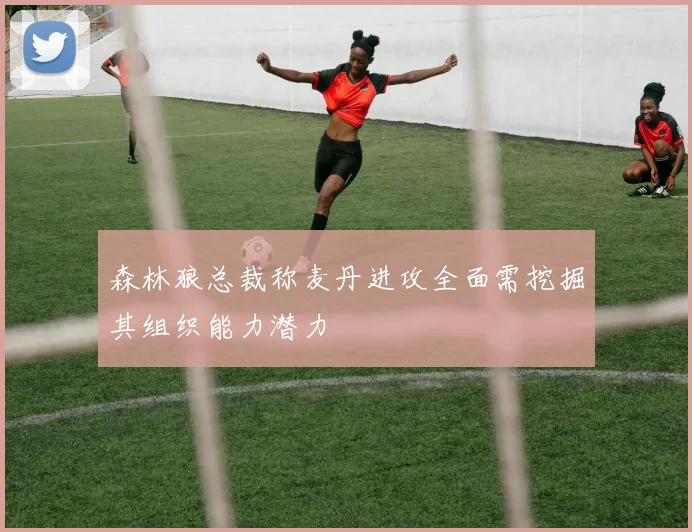 森林狼总裁称麦丹进攻全面需挖掘其组织能力潜力